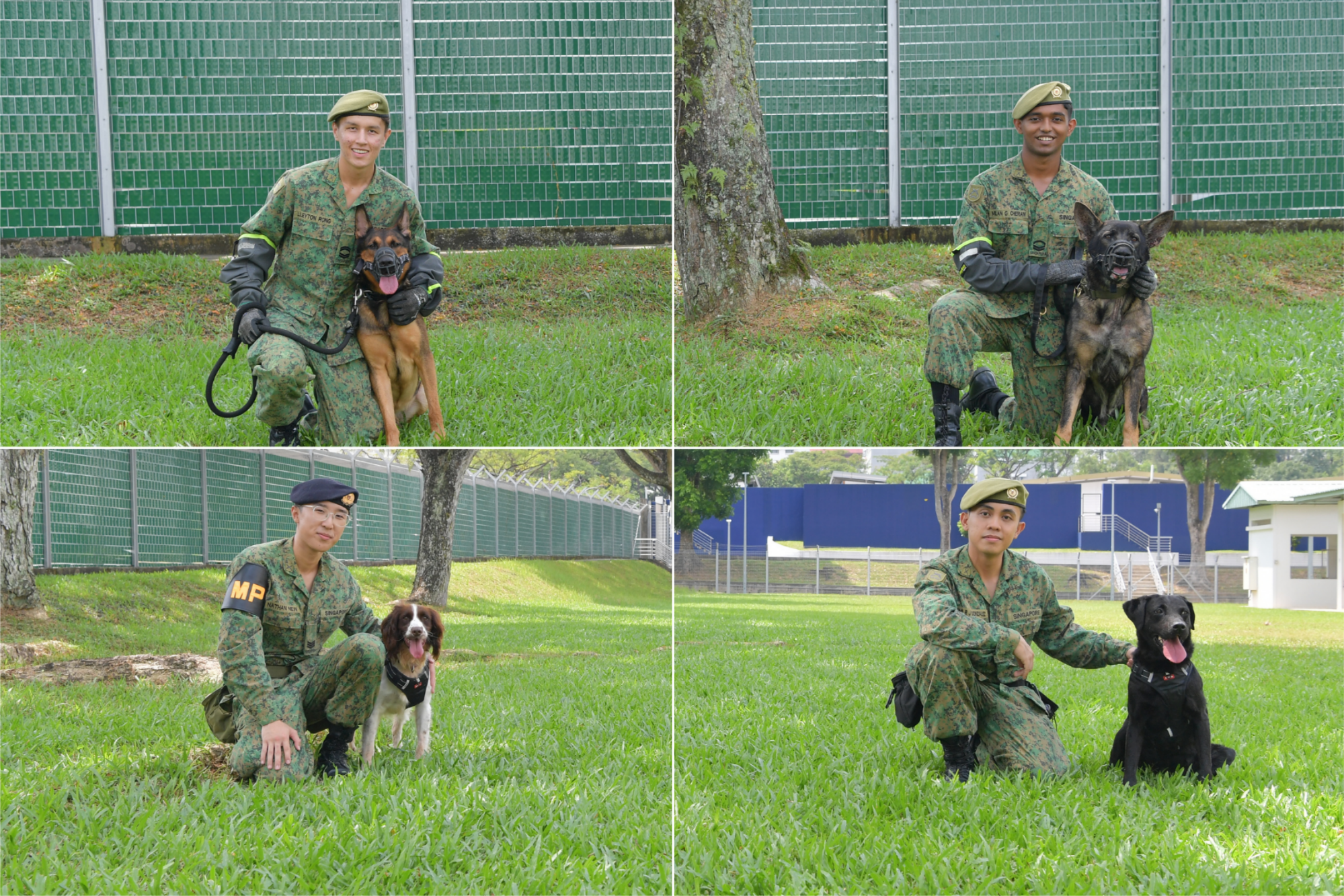 Paw-tners in service