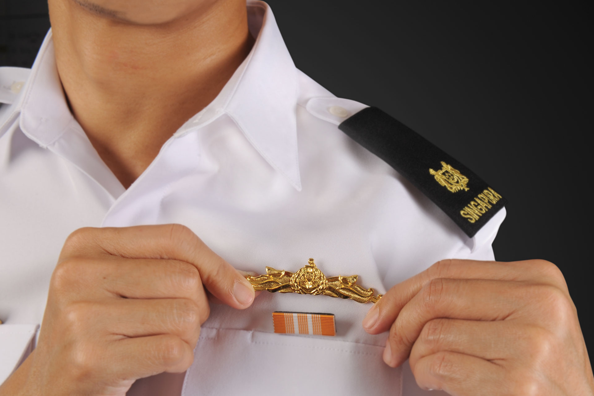 Naval_Warfare_Badge